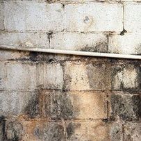 Novi Mold Inspection business image in Novi, MI