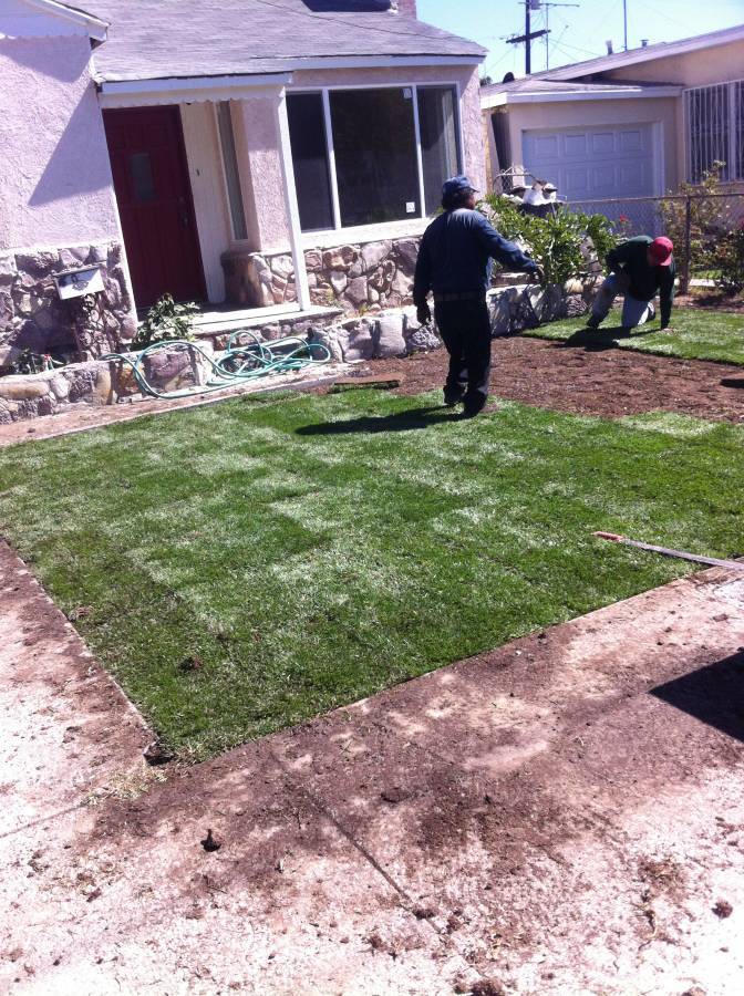 Immanuel’s tree service business image in Lancaster, CA
